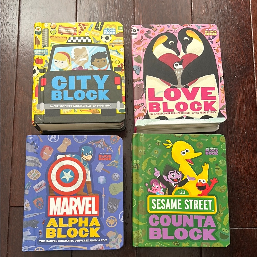 Set of 4 Colorful Children's Block Books